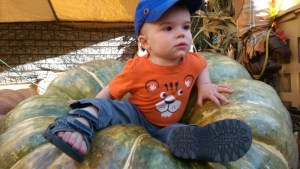 18mos-in-pumpkin