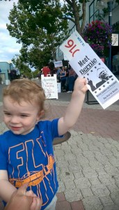 Feel-the-Bern-July2015