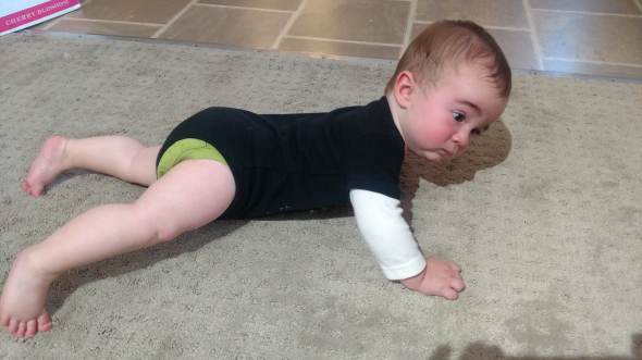 Alex-7mos-crawling